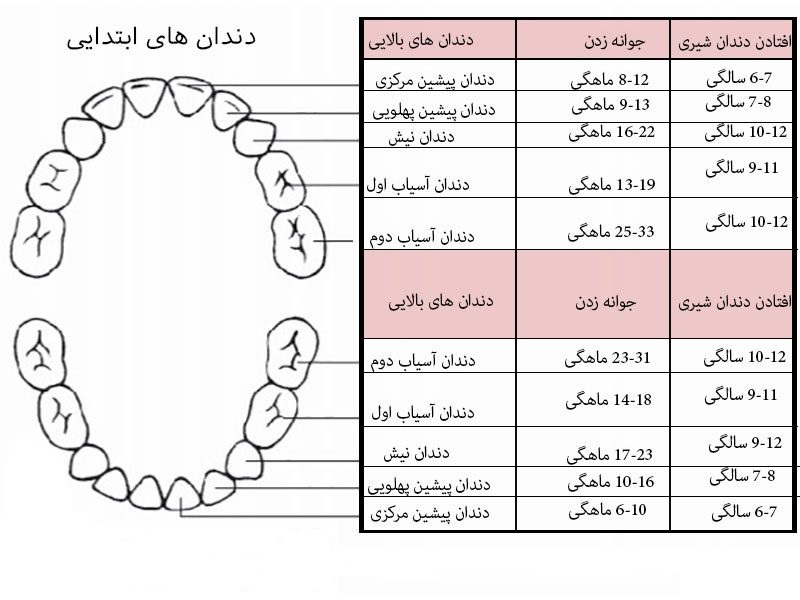 درمان بی اشتهایی کودک هنگام دندان در آوردن