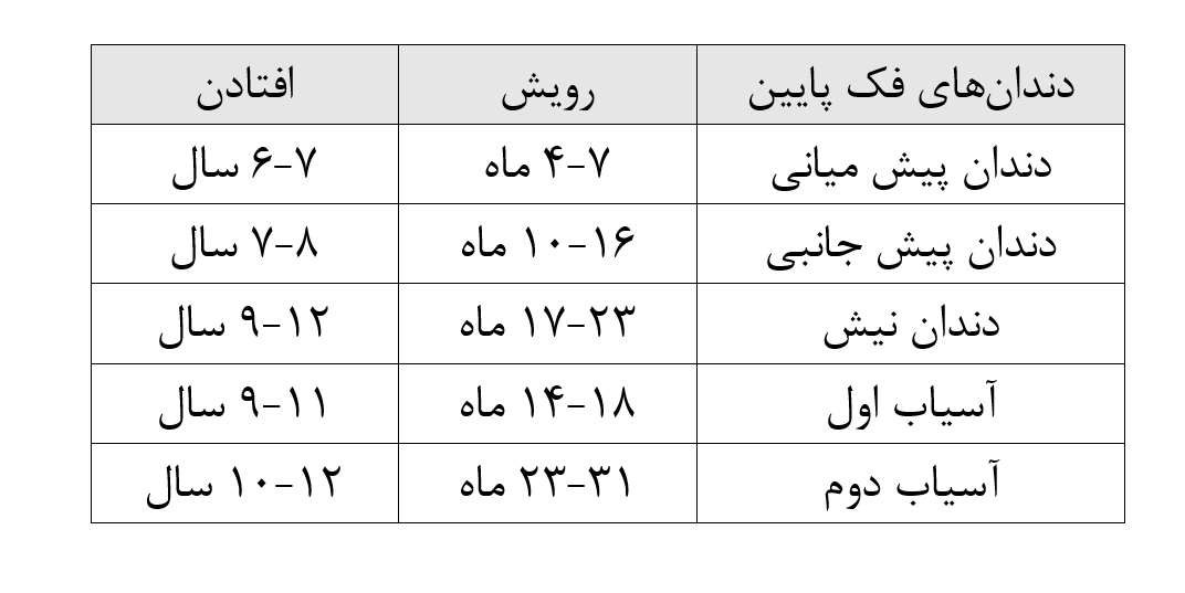 دندان آسیاب شیری در چه سنی می افتد؟